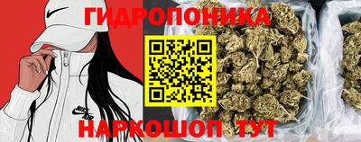 амф Можга