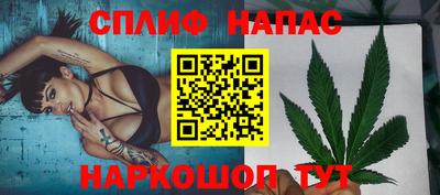 амф Можга