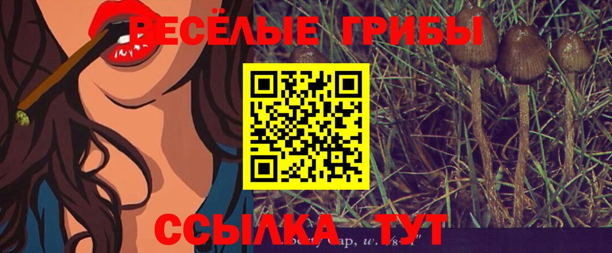 Псилоцибиновые грибы Magic Shrooms  Вход с VPN  Галлюциногенные грибы GOLDEN TEACHER  магазин    Домодедово 